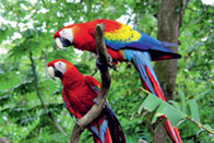 Splendeurs naturelles