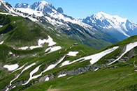 Le Tour du Mont Blanc en liberté