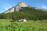 La Chartreuse de Charme