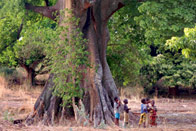 Magic' Ghana