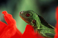 Découverte de la Guyane