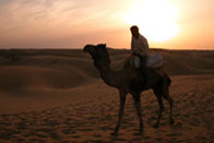 Magique Rajasthan et Camel Safari  
