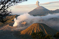 Bali, Beach, Bebek & Java