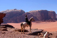A galop de Pétra au Wadi Rum !