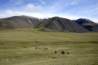Bonheur et fer à cheval en Kirghizie
