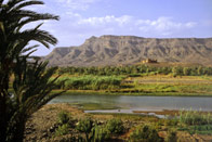 Sables et oasis de la vallée du Draa