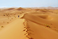 L'appel du Sahara!