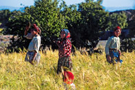 Bonheur berbère (Zat et Ourika)