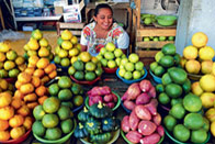 Au pays de Maya la belle