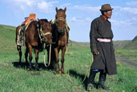Steppe by steppe sur les pas de Gengis