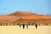 Balade australe