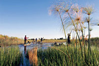 De la Namibie à Victoria Falls