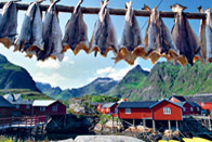 Lofoten, l’archipel magique 