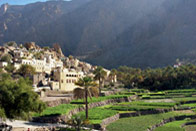 Absolut' Oman