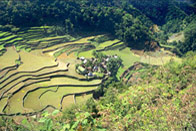 Tribus Ifugao et Ile de Mindoro