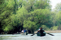Les secrets du delta du Danube