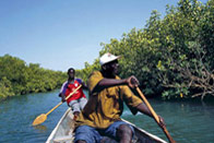 En pirogue au Siné Saloum 