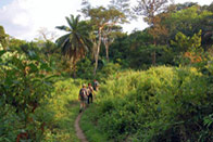 Forêts tropicales, villages et cascades