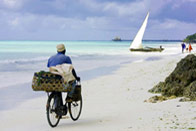 Zanzibar: Tu veux ou tu vespa !