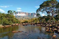Les trésors du Roraima
