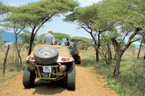 Buggy au cœur du pays Zoulou