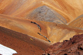 La caravane de sel