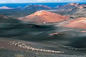 Volcans et sentiers de Lanzarote 