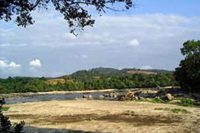 Au coeur des forêts gabonaises.