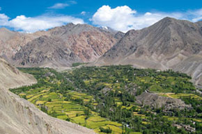 Trek au Ladakh et vallée de la Markha