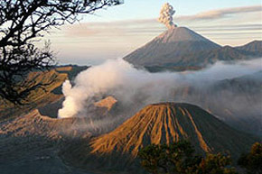 Bali, Beach, Bebek & Java