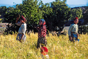 Bonheur berbère (Zat et Ourika)