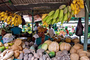 Le Mozambique, terres et lagons sauvage