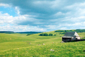 Aubrac chlorophylle 