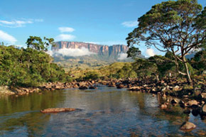 Les trésors du Roraima