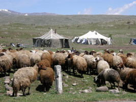 Ararat, les portes de l’Orient