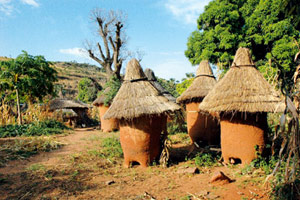 Baobabs et Balafons