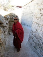 Lhassa, le toit du monde en dragon de fer