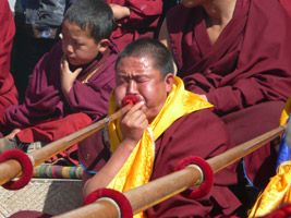 Sur la route de Bouddha