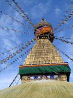 Sur la route de Bouddha
