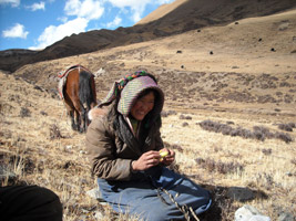 Tibet, sur la piste de l'Or blanc