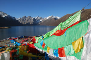 Tibet, sur la piste de l'Or blanc
