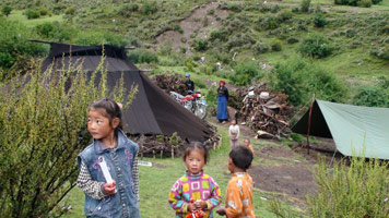 Tibet, sur la piste de l'Or blanc