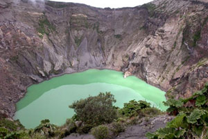 Chlorophylle, magma et crustacés 