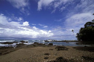 Chlorophylle, magma et crustacés 