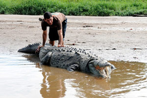 Deux semaines de rêves au Costa Rica ...