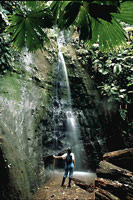 Deux semaines de rêves au Costa Rica ...