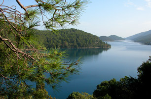 Découverte des Parcs Nationaux