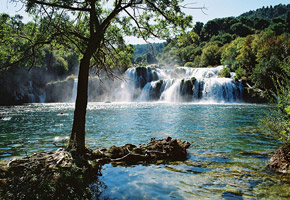 Découverte des Parcs Nationaux