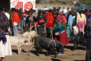 Ecuad'or, La Totale !