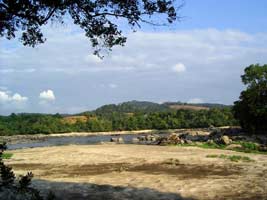 Au coeur des forêts gabonaises.